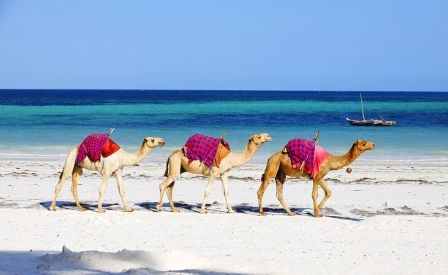 docs_oman_1