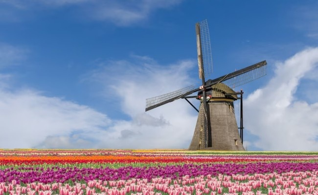 docs_netherlands_1
